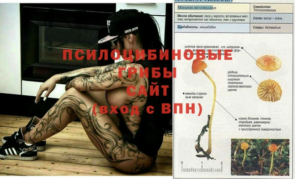 ECSTASY Армянск